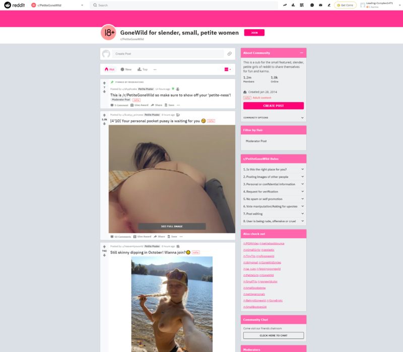 r-PetiteGoneWild review NSFW Reddit List