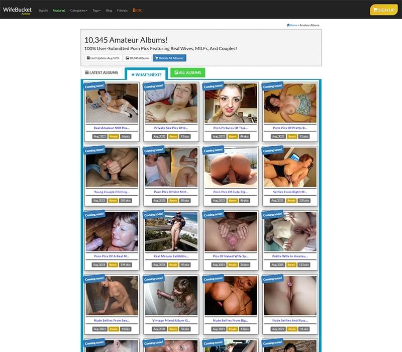 WifeBucket.com Homepage